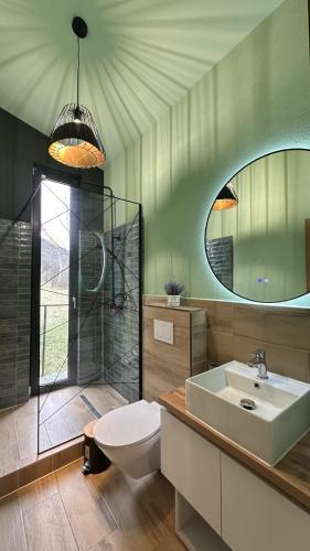 a bathroom with a toilet and a sink and a shower at Wolfmoon Riverside in Lupşa