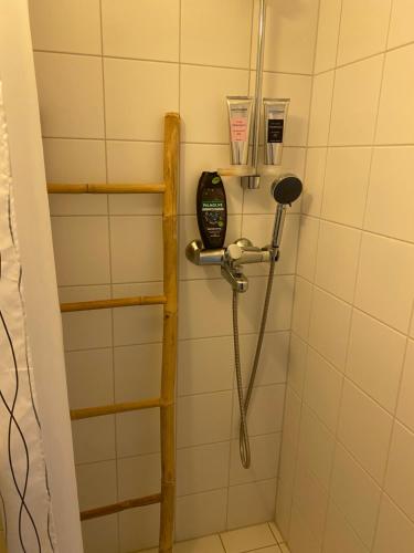 a shower in a bathroom with a shower at SV Appartamenty in Horten