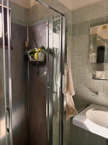 a bathroom with a shower and a sink at La Verde Dimora in Marano Vicentino