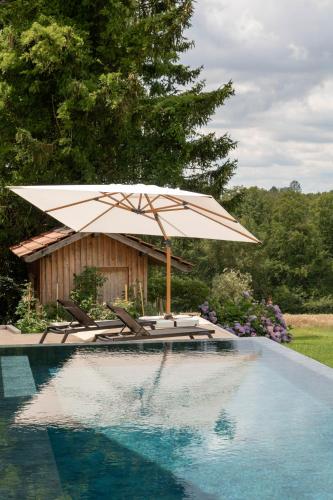 a pool with chairs and an umbrella next to a swimming pool at Schwarzwald Chalet Auwald in Freiamt
