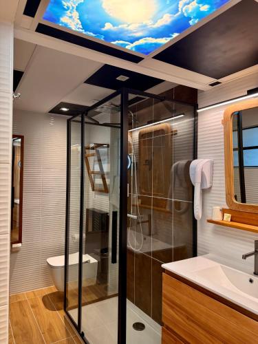 a bathroom with a shower and a toilet and a sink at Les Palmiers in Fréjus