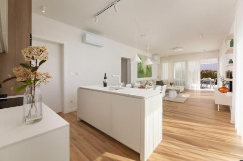 Villa Adriatic Bliss - Olive