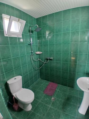 a green tiled bathroom with a toilet and a shower at Nika Inn Kobuleti in Kobuleti