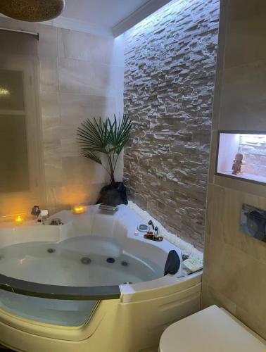a bathroom with a tub with a potted plant in it at Burgos Spa and Cathedral in Burgos