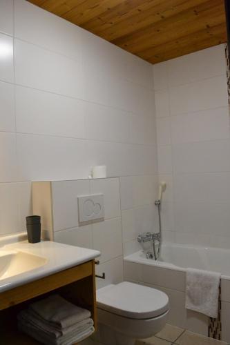 Chalet Fleur des Alpes 1