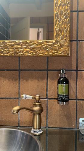 a bathroom sink with a mirror and a bottle of soap at Maison Conde de la Cebada in Ampudia