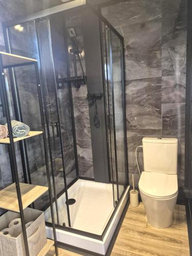a bathroom with a shower and a toilet at Douce Escale in Vichel
