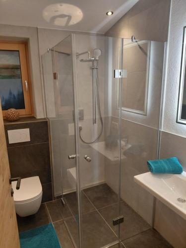 a bathroom with a shower and a toilet and a sink at Appartement Schroll in Schwendau