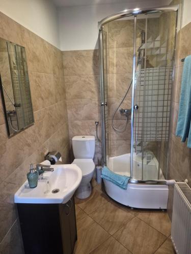 a bathroom with a shower and a toilet and a sink at Srebrny Świerk in Wambierzyce