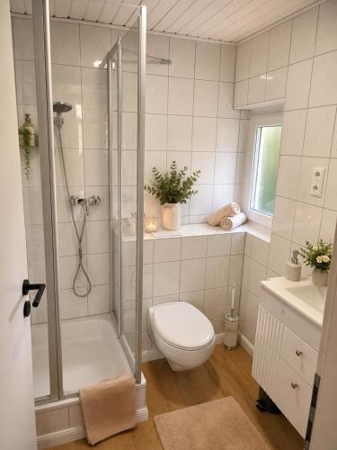 a bathroom with a shower and a toilet and a sink at Hotel NeckarOase in Lauffen am Neckar