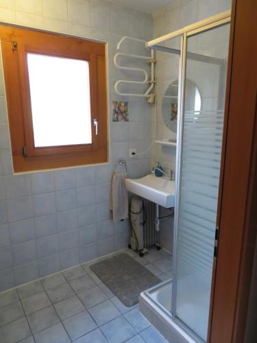 a bathroom with a sink and a shower at Résidence les Papaillons in Enney