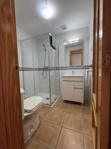a bathroom with a shower and a toilet and a sink at Turquesa Zon & Strand Carihuela in Torremolinos