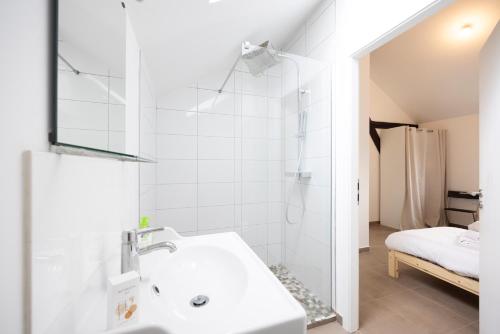 a white bathroom with a sink and a shower at Triple Evasion Terrasse in Zillisheim