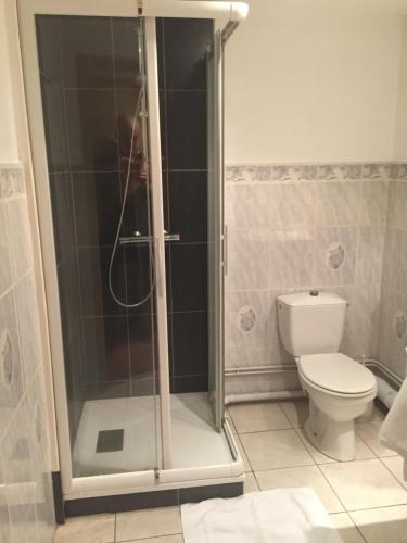 a bathroom with a shower and a toilet at Hôtel Les Frangins in Saint-Omer
