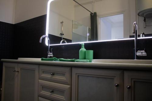a bathroom sink with a green soap dispenser on it at Avocado - Garage inclus - T3 - 96m2 - lumineux - Centre ville tout à pied in Grenoble