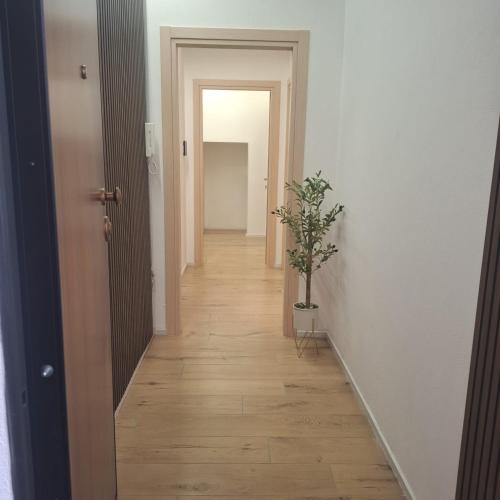a hallway with a plant in the middle of a room at Mary's Sweet Home in Cagliari