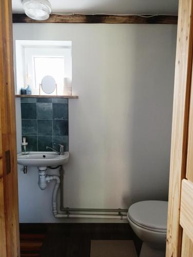 a bathroom with a sink and a toilet at Happy Hippy Cabin for 4 persons in Gataučiai