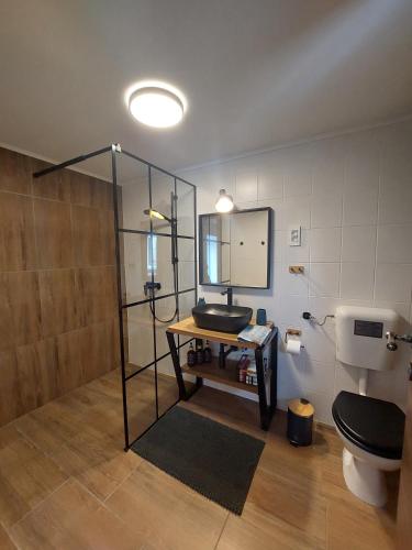 a bathroom with a sink and a mirror and a toilet at House Belej - Lola in Belej