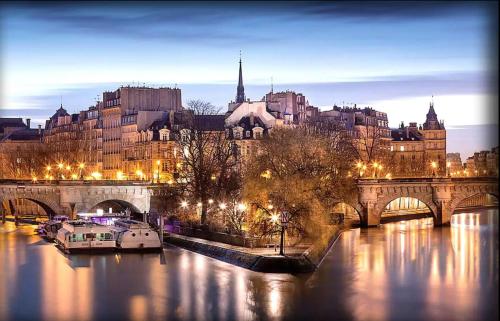 Authentic and Large 1 bdr Flat - Facing Notre Dame