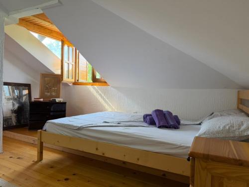 a bedroom with a bed in a attic at Zov Dičine in Savinac