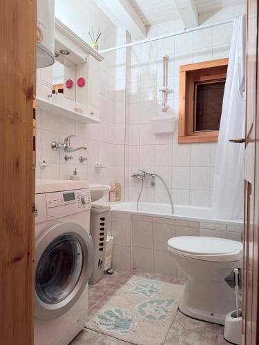 a bathroom with a washing machine and a tub at Zov Dičine in Savinac