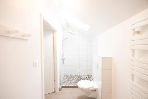 a white bathroom with a toilet and a shower at L'évasion - duplex in Zillisheim