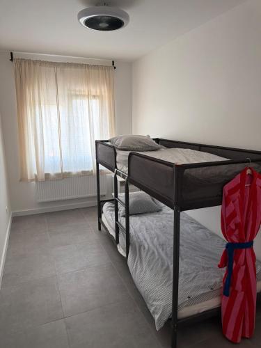 a bedroom with a bunk bed and a window at House for Tomorrowland in Rijweg