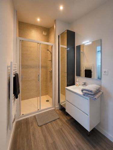 a bathroom with a shower and a sink and a toilet at Le Studio, proche du puy in Saint-Pierre-Montlimart