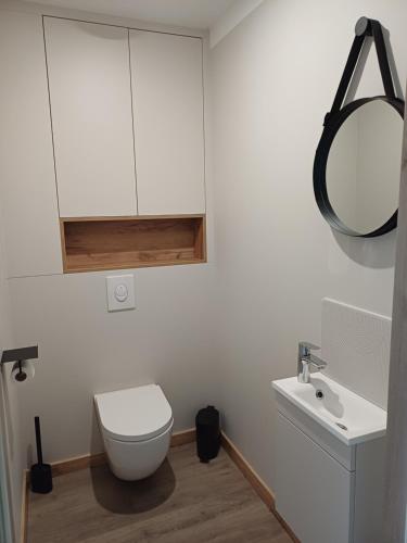 a bathroom with a toilet and a sink and a mirror at VILLE au VERT in Verdun-sur-Meuse
