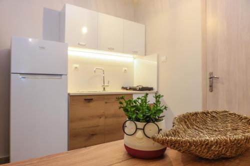 a kitchen with a potted plant sitting on a table at Cozy Twins - Terra in Kavála