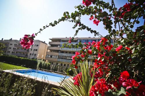 Bajo con Jardin - Rosa Sensat