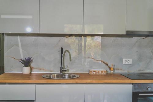a kitchen with a sink and a counter top at Vikanto Stay in Ulcinj