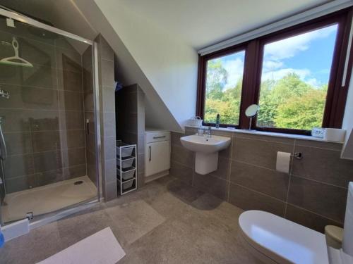 a bathroom with a sink and a shower and a toilet at Tylone in Lochdon