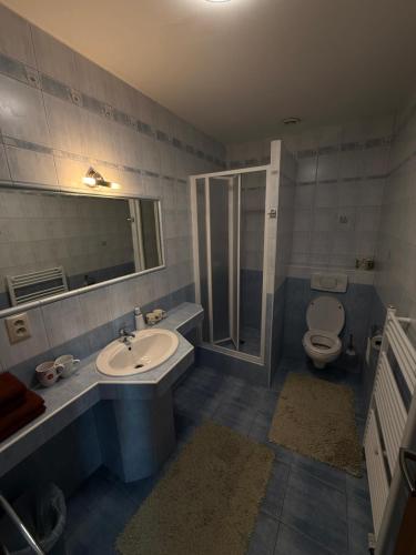 a bathroom with a sink and a toilet and a shower at Penzión Sunflower in Piešťany