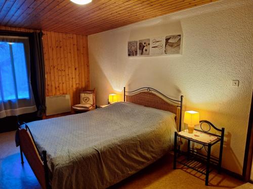 a bedroom with a bed and two tables with lamps at Appartement proche stations de ski in Abondance
