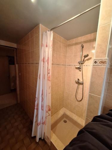 a shower with a shower curtain in a bathroom at Appartement proche stations de ski in Abondance