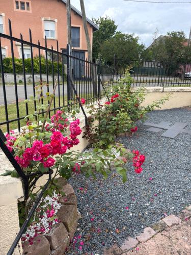 a bunch of flowers in front of a fence at Les Croisés&Spa in Azannes-et-Soumazannes