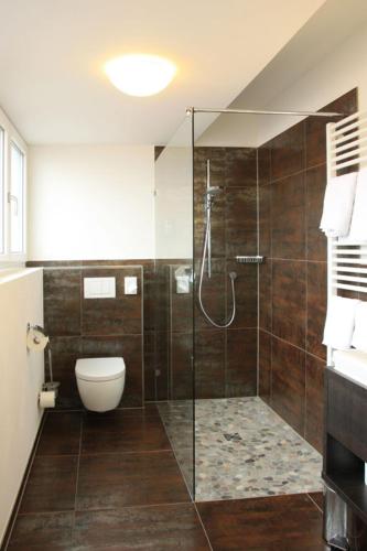 ein Bad mit einem WC und einer Glasdusche in der Unterkunft Alte Schmiede in Großbottwar