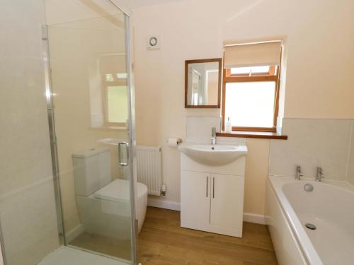 a bathroom with a toilet and a sink and a shower at Yr Onnen in Rhayader