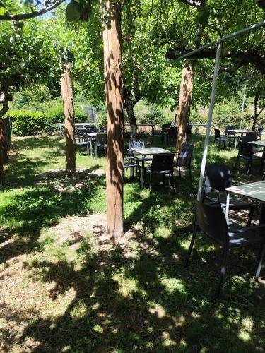 a group of tables and chairs under some trees at O marco da legua&camino de santiago in Piñor