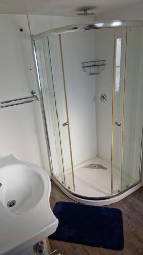 a bathroom with a shower and a white sink at Old Willow Houseboats in Sasolburg