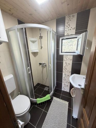 a bathroom with a shower and a toilet and a sink at Nana Dea in Utjeha