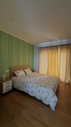 a bedroom with a large bed with green walls at Francisca Apartment in Lajes