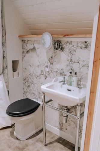 a bathroom with a toilet and a sink at Carnethy Cabin in Kirknewton