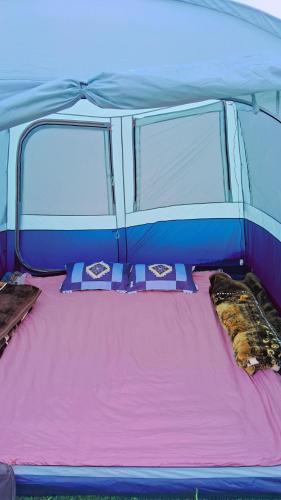 a bed in a blue tent with two windows at TIS Zipline Campingsite in Gurais