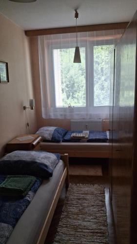 a bedroom with two beds and a window at U babiny in Martinske Hole