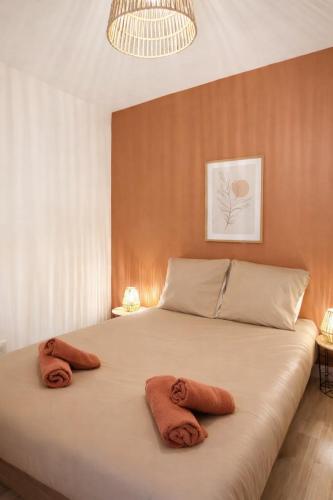T2 cosy rue Préfecture, hyper centre