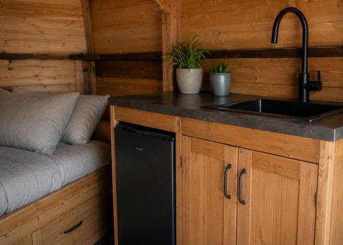 eine Küche mit Spüle und eine Couch in einer Hütte in der Unterkunft Tinyhouse De Einder in Pieterburen