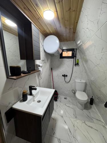a bathroom with a sink and a toilet at Cozy Cottage JuFu in Mestia