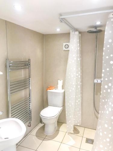 a bathroom with a toilet and a shower at Brewery Lodge Sleeps 4 in Lydney